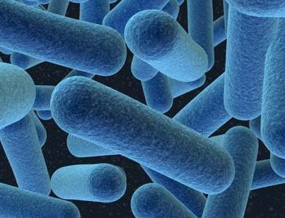 batteri nella disinfezione ambientale